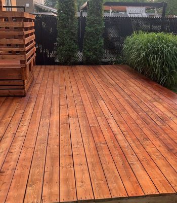 527303750_122223875330250276_5687695186950868438_n